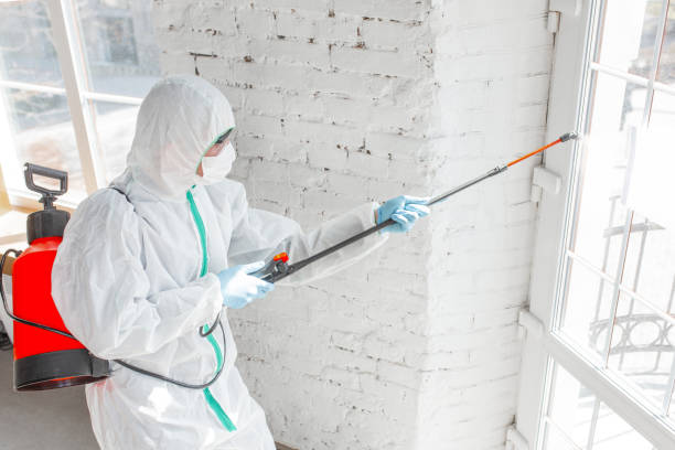 Best Commercial Mold Inspection in Clear Lake Shores, TX