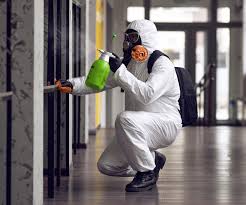 Professional Mold Removal in Clear Lake Shores, TX